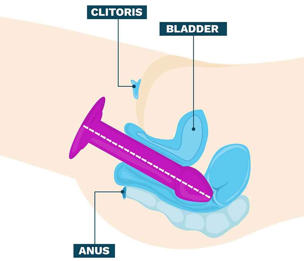 Anal Dildo Diagram - How to Use A Dildo: PRO TIPS from a Sex Toy Tester!